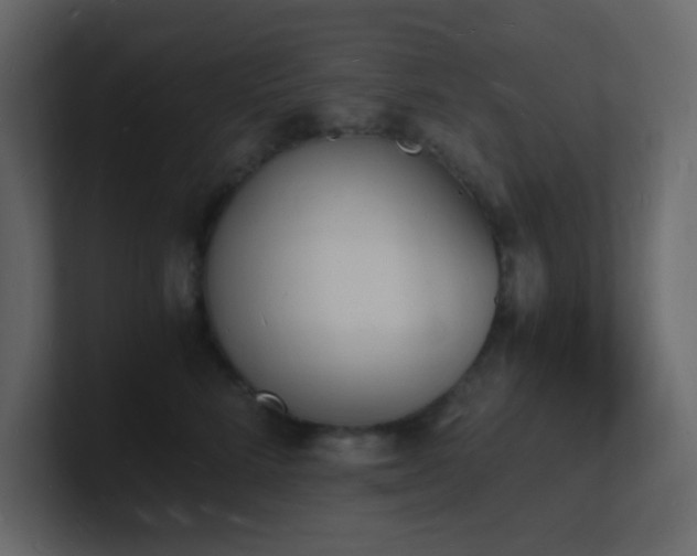 X0000101670712200807101400
