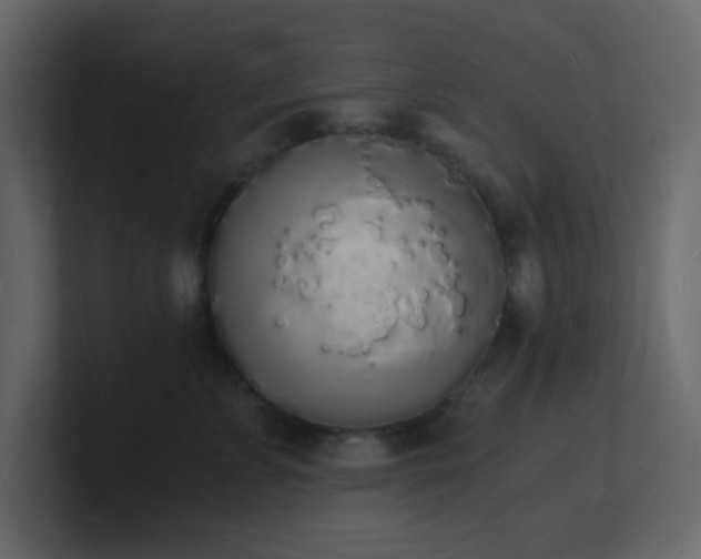 X0000101670715200807101400