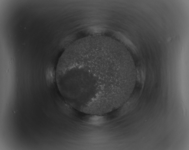 X0000101670718200807101400