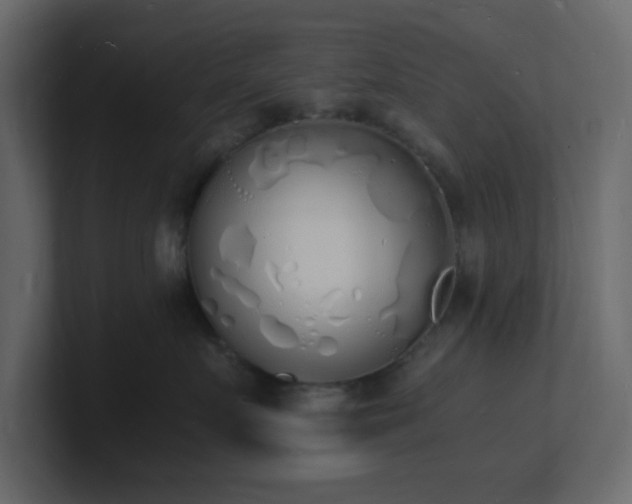 X0000101670719200807101400