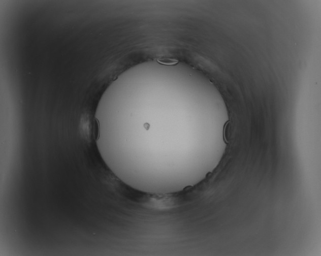 X0000101670720200807101400