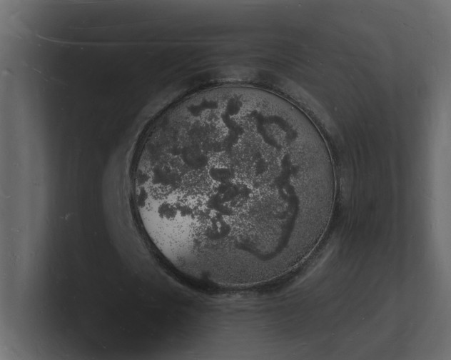 X0000101670721200807101359