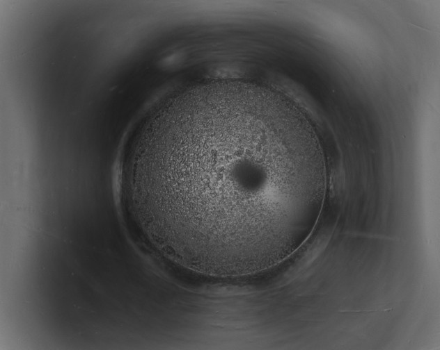 X0000101670722200807101359