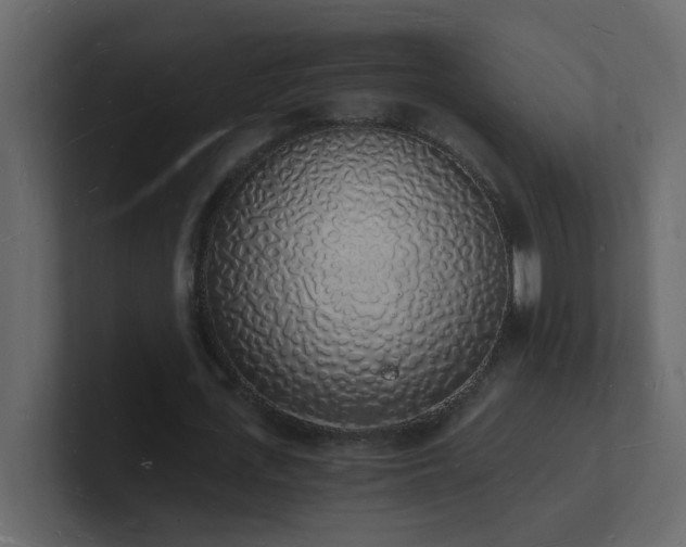 X0000101670723200807101359
