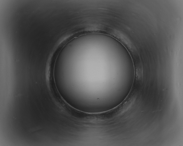 X0000101670724200807101359