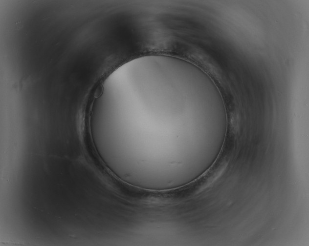 X0000101670725200807101359