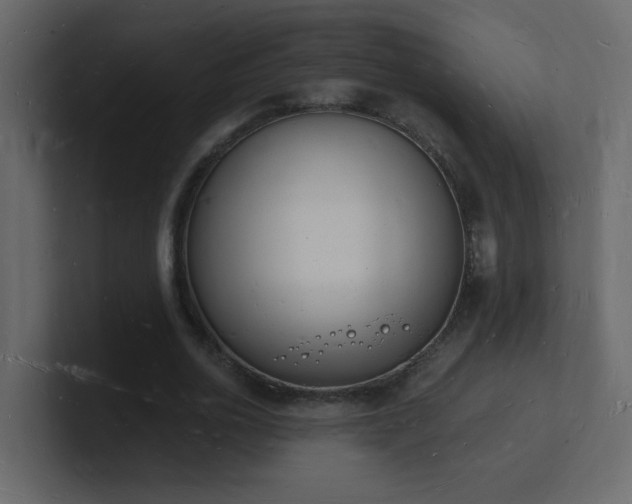 X0000101670726200807101359