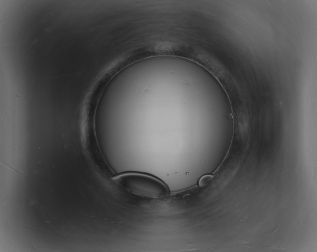 X0000101670728200807101359