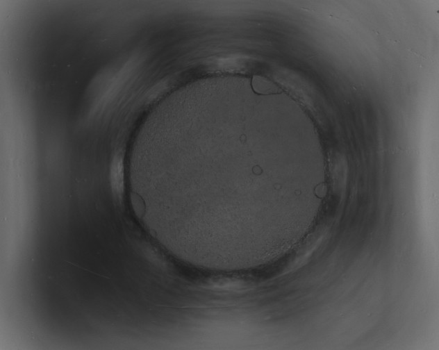 X0000101670729200807101359