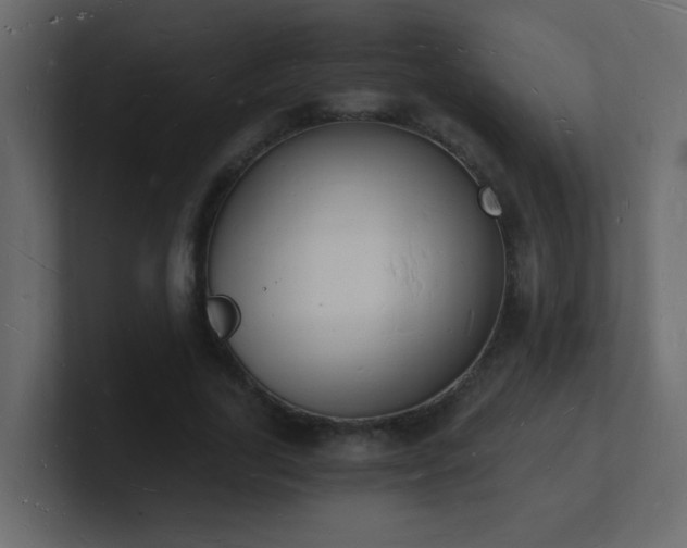 X0000101670731200807101359