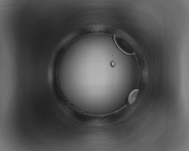 X0000101670732200807101359
