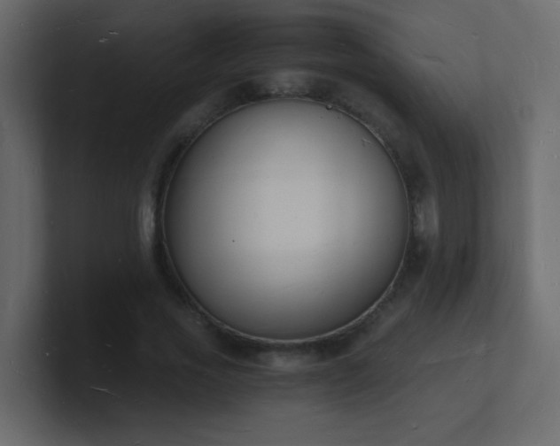X0000101670733200807101359