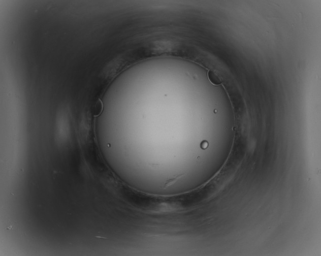 X0000101670737200807101359