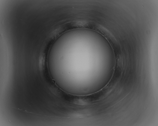 X0000101670739200807101359
