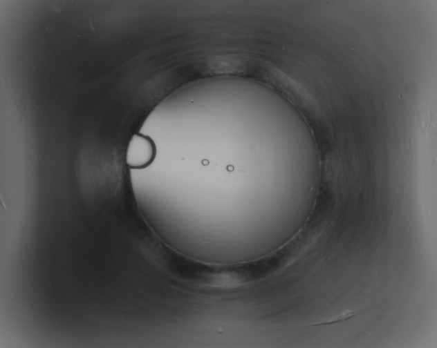 X0000101670741200807101359