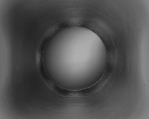 X0000101670742200807101359