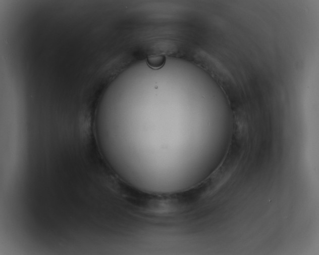 X0000101670745200807101359