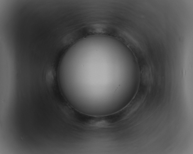 X0000101670747200807101359