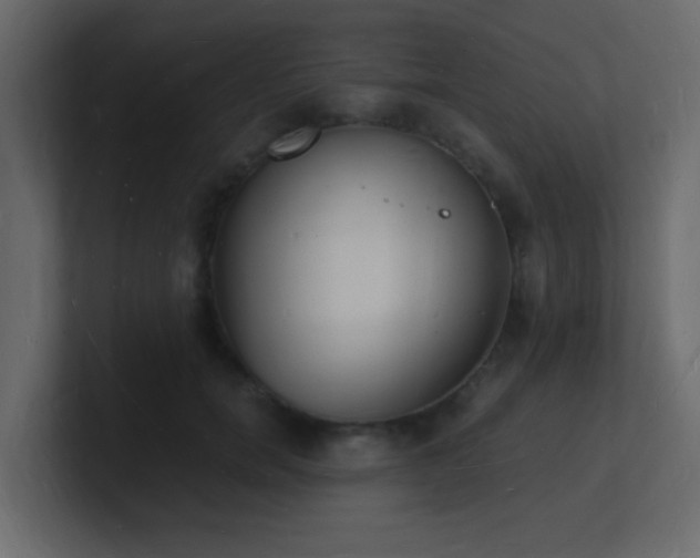 X0000101670750200807101359