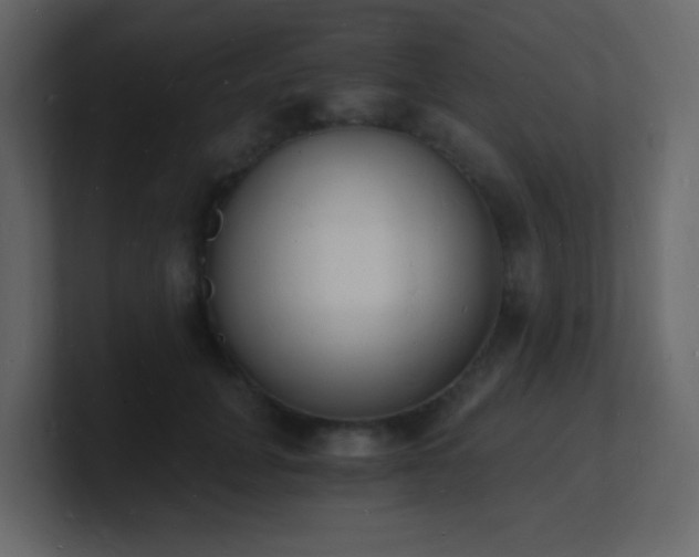X0000101670751200807101359