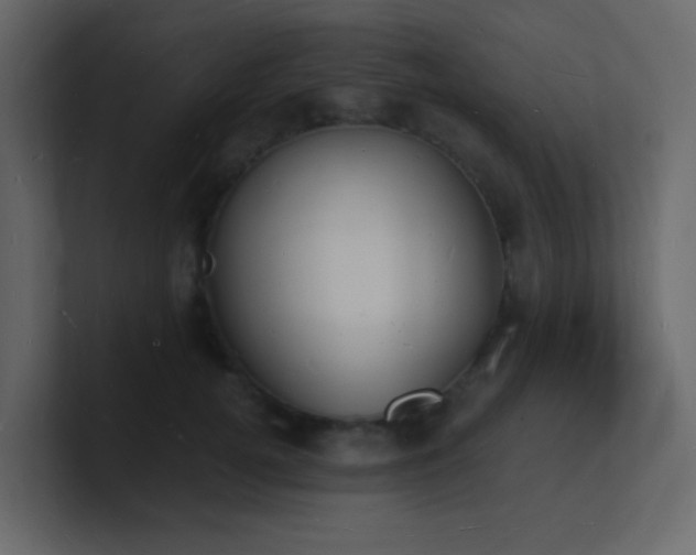X0000101670752200807101359