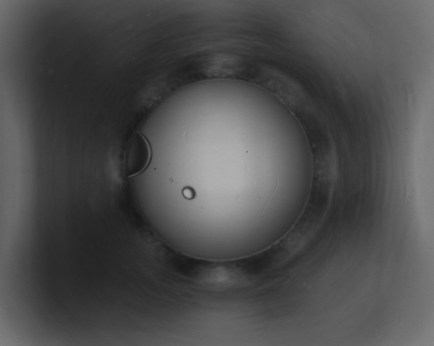 X0000101670755200807101359