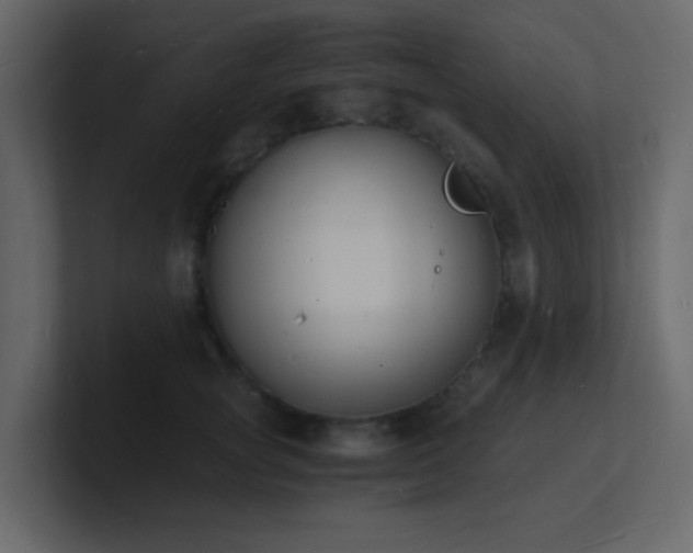 X0000101670757200807101400