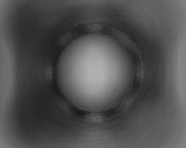 X0000101670758200807101400