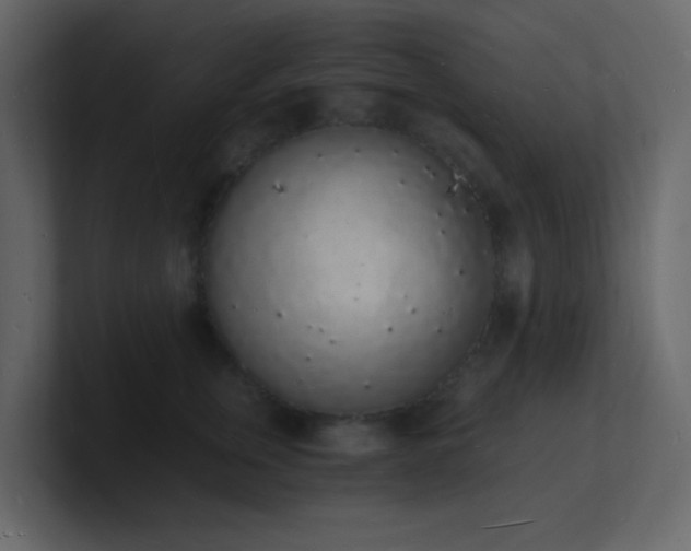 X0000101670759200807101400