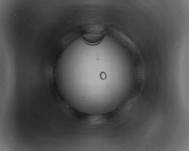 X0000101670761200807101400