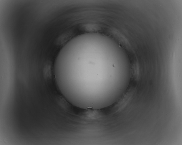X0000101670762200807101400