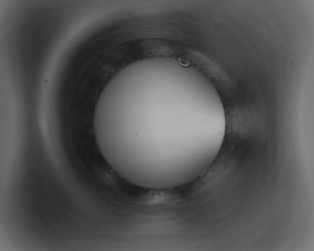 X0000101670764200807101400