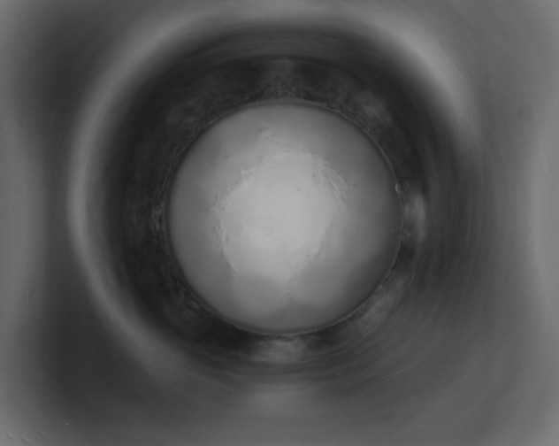 X0000101670765200807101400