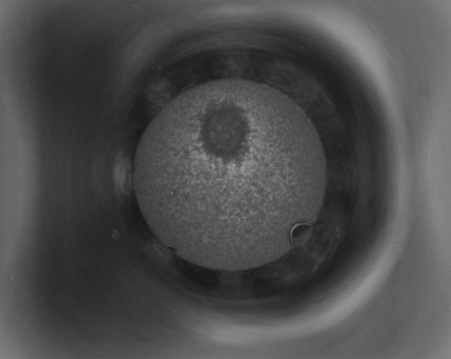 X0000101670766200807101400