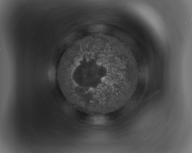 X0000101670767200807101400