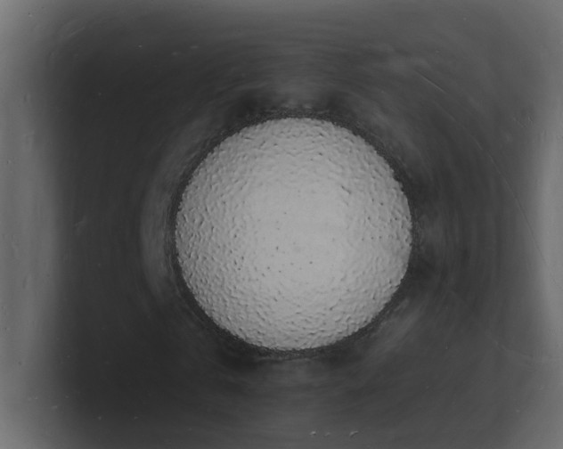 X0000101670769200807101359