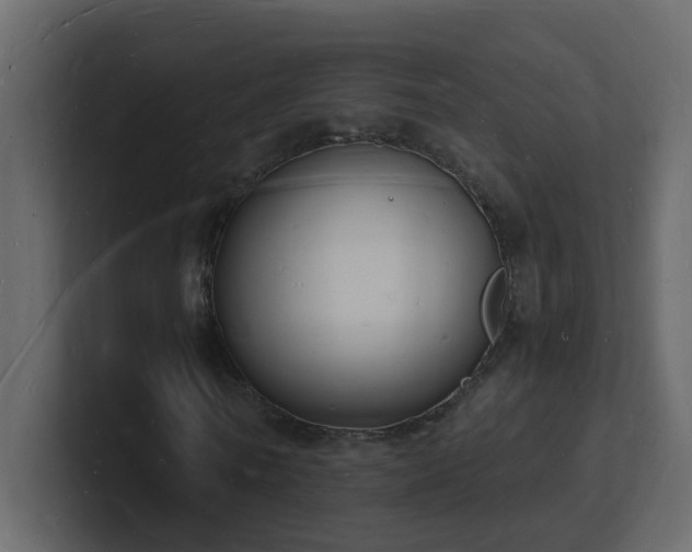 X0000101670770200807101359