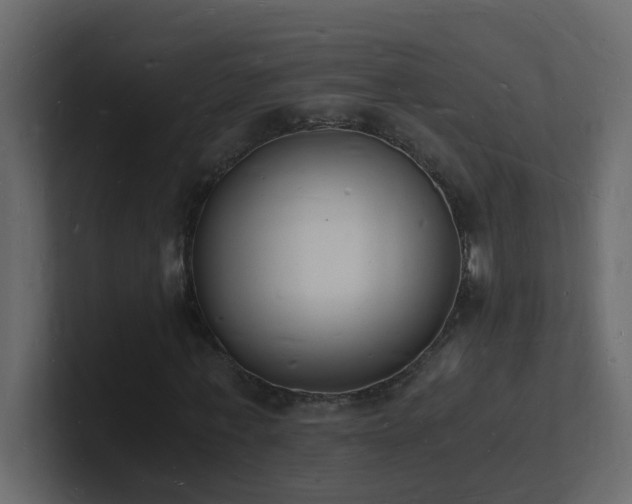 X0000101670771200807101359