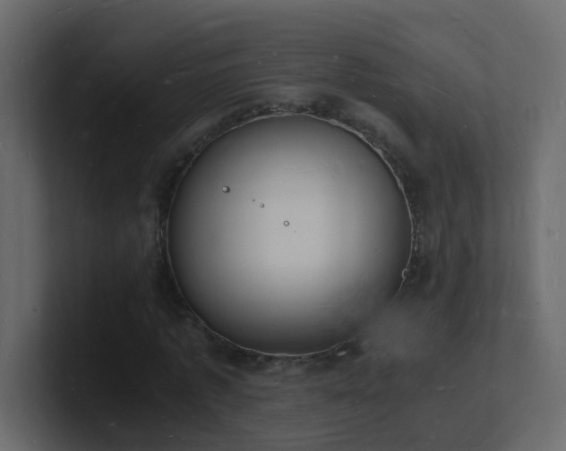 X0000101670773200807101359