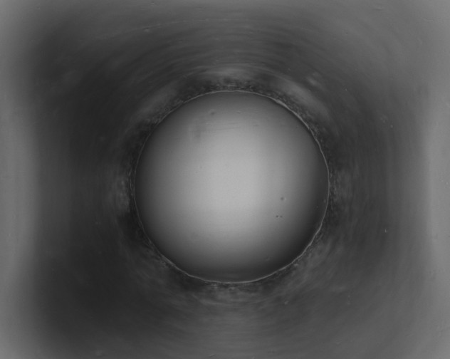 X0000101670774200807101359