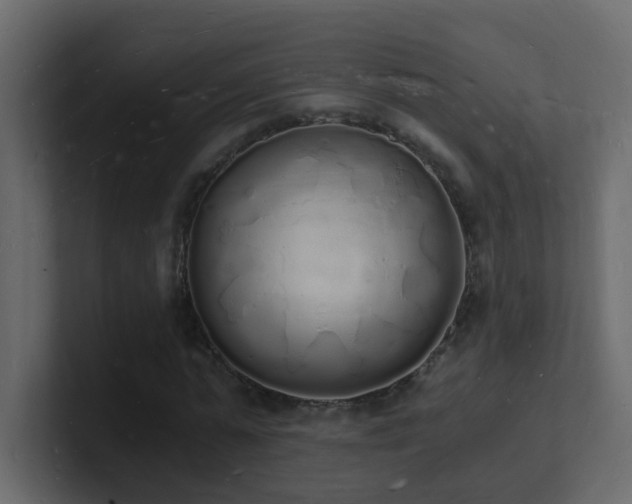 X0000101670775200807101359