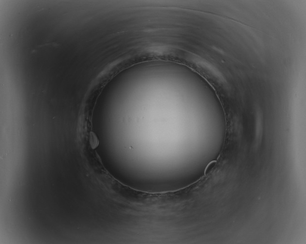 X0000101670776200807101359