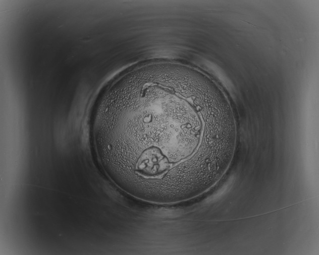 X0000101670779200807101359
