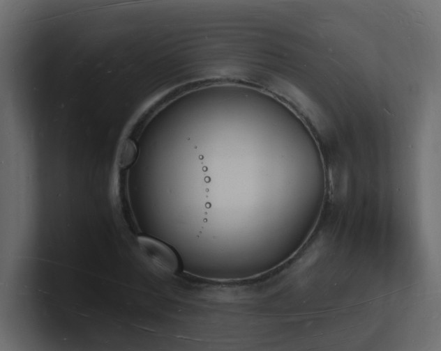 X0000101670780200807101359