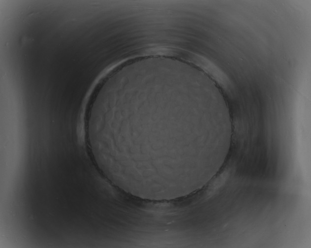 X0000101670784200807101359