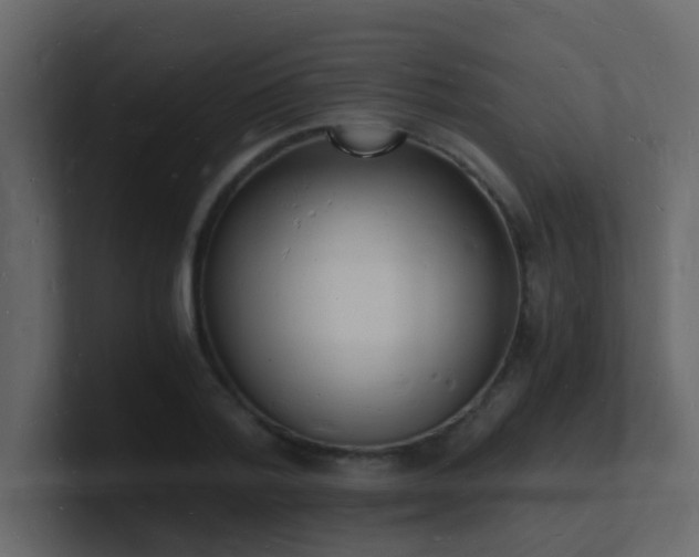 X0000101670788200807101359