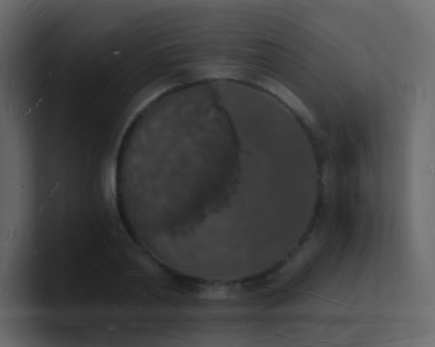 X0000101670790200807101359