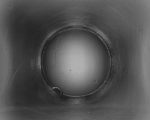 X0000101670791200807101359