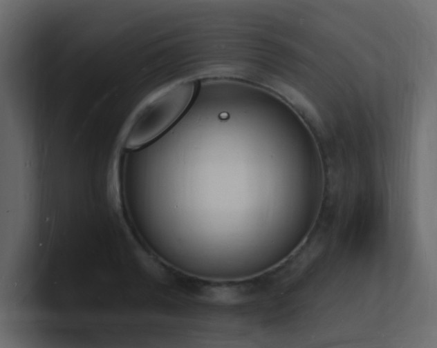 X0000101670792200807101359