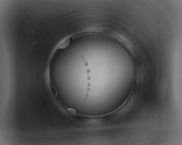 X0000101670796200807101359